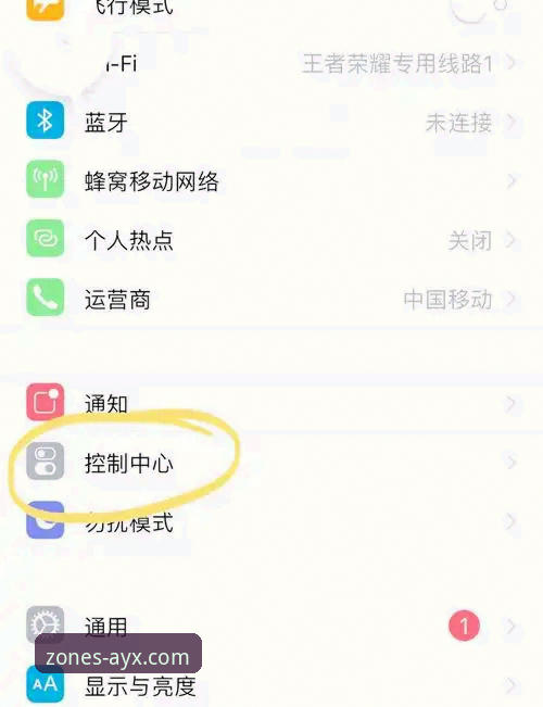 AYX苹果版必备功能详解与使用指南